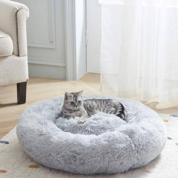 Ein hohes Maß an Ängstlichkeit ist bei den meisten Katzen üblich