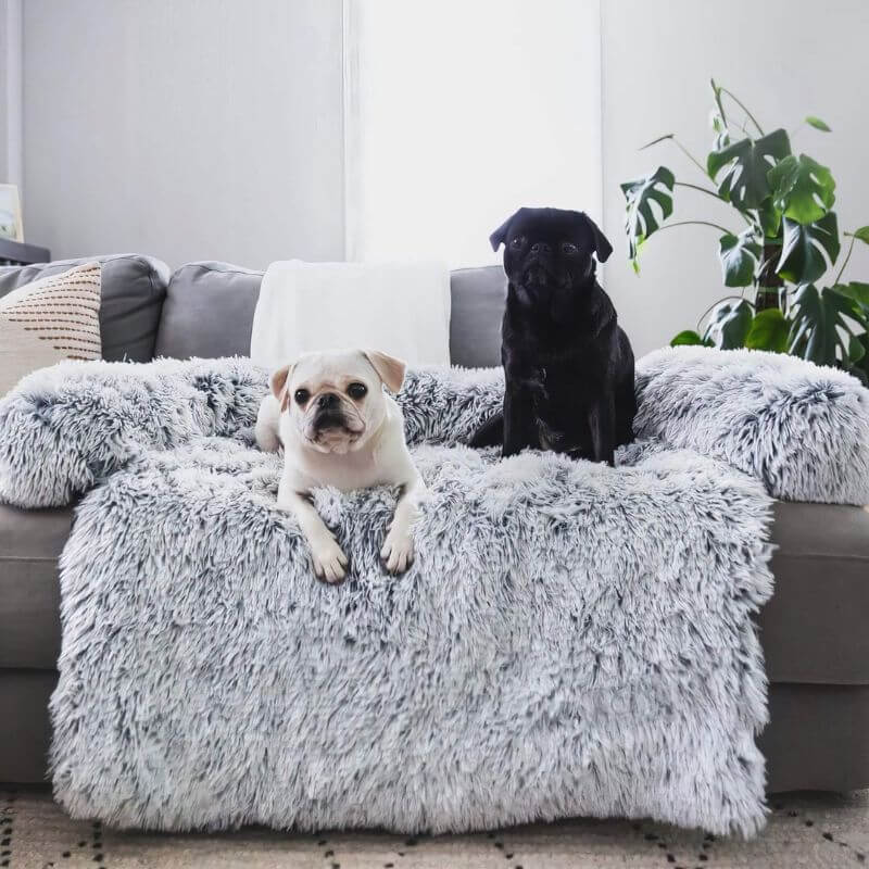 MrFluffyFriend - Orthopädisches Hundesofa