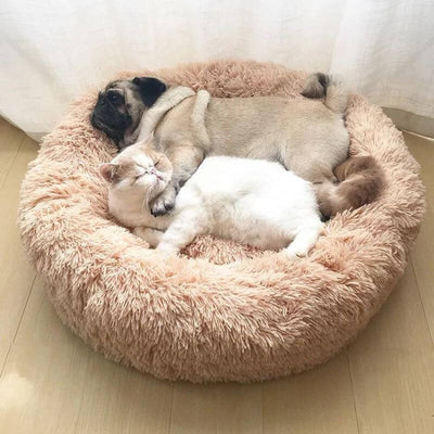 MrFluffyFriend® - Das beste Anti-Angst Katzenbett