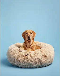 Photo of Anti-Angst Hundebett