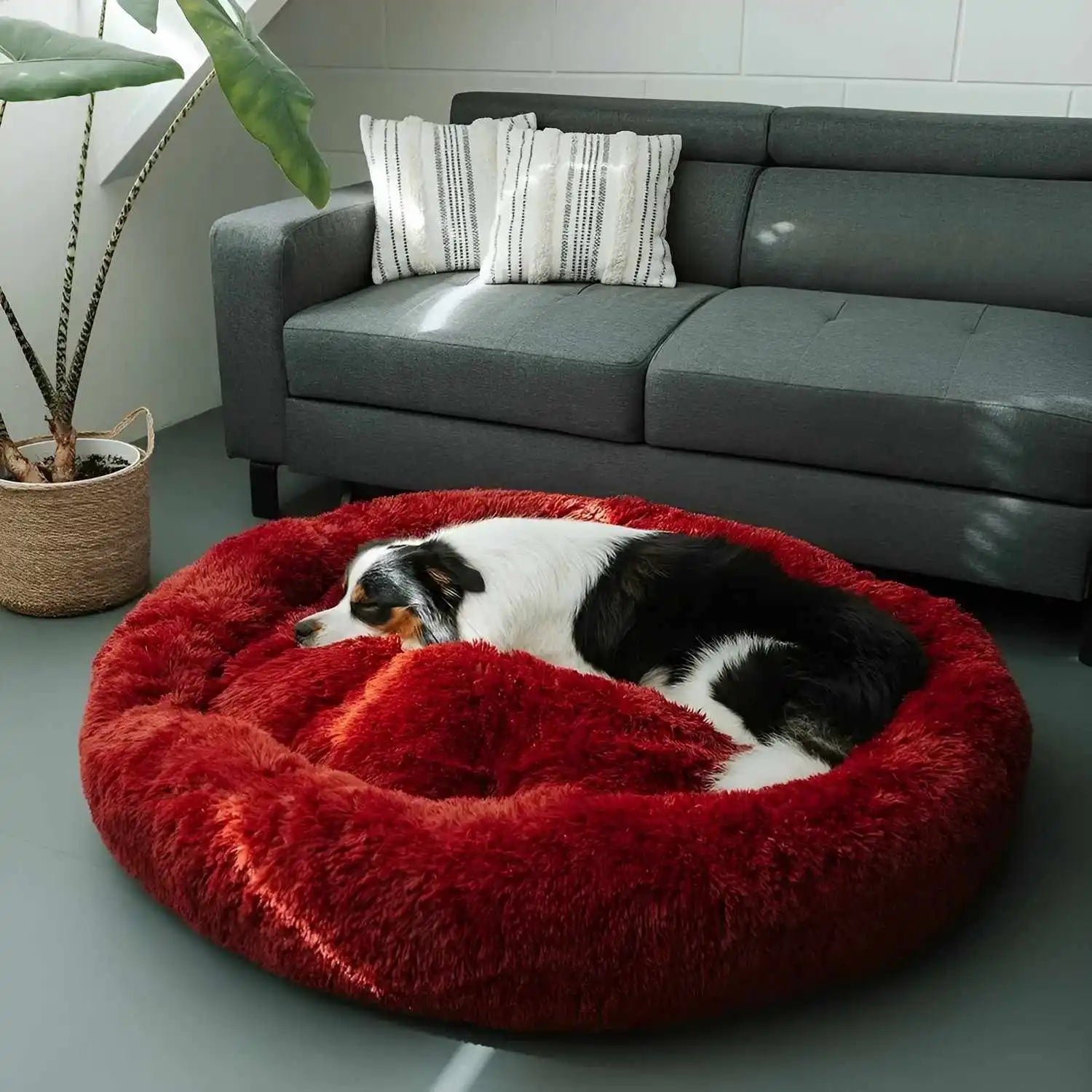 MrFluffyFriend – Das beste Hundebett für große Hunde