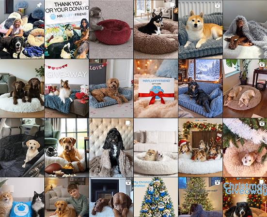 Collage mit eingesendeten Fotos von Haustieren (Hunde, Katzen) auf Produkten von MrFluffyFriend