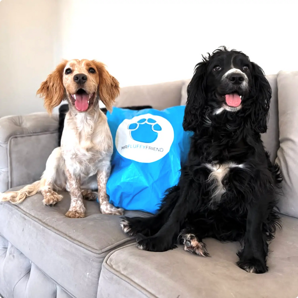 Tipps zum Auspacken und zur Pflege deines Produktes von MrFluffyFriend 🐾