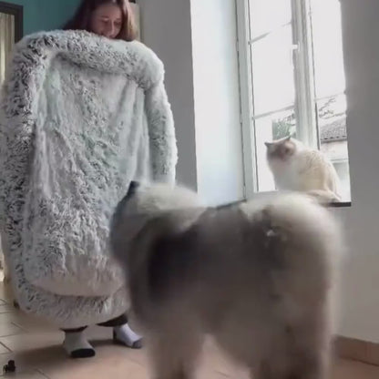 MrFluffyFriend® - Das beste Anti-Angst Hundebett (Test "animated prod image")